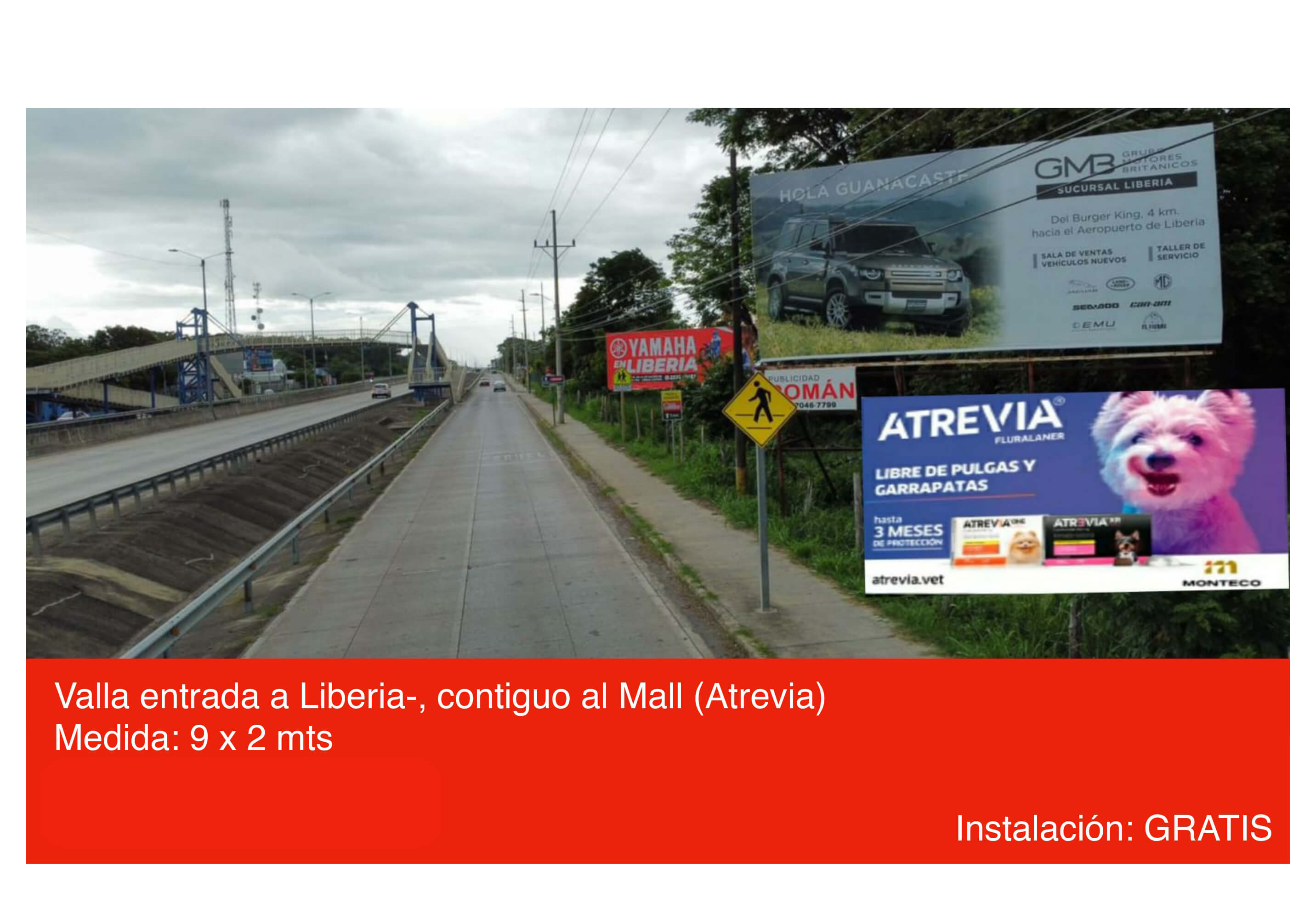 Publicidad Roman