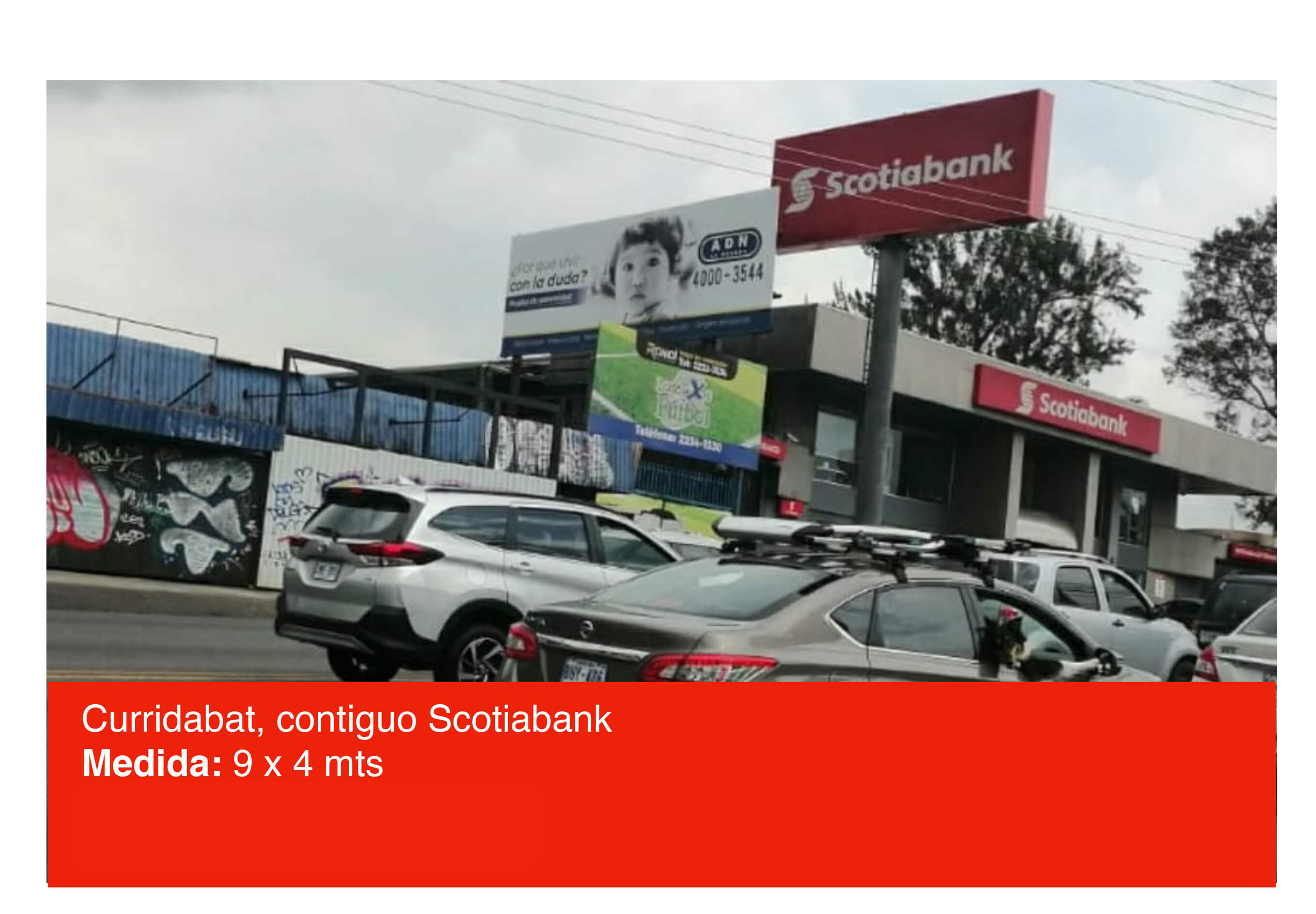 Publicidad Roman